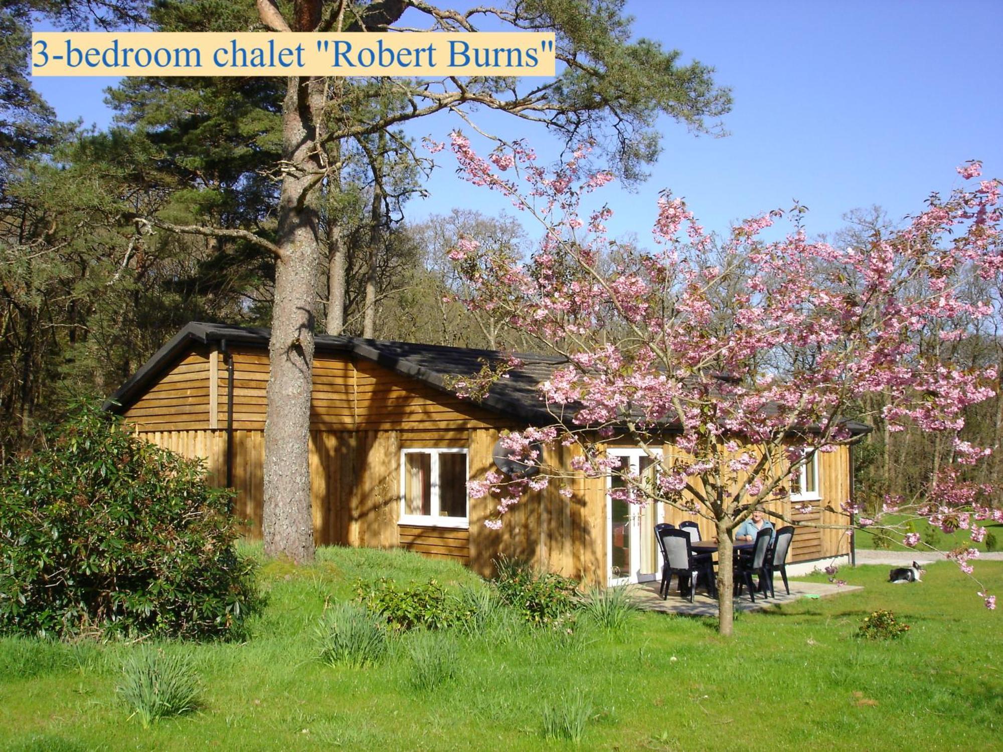 Airdeny Chalets Taynuilt Δωμάτιο φωτογραφία